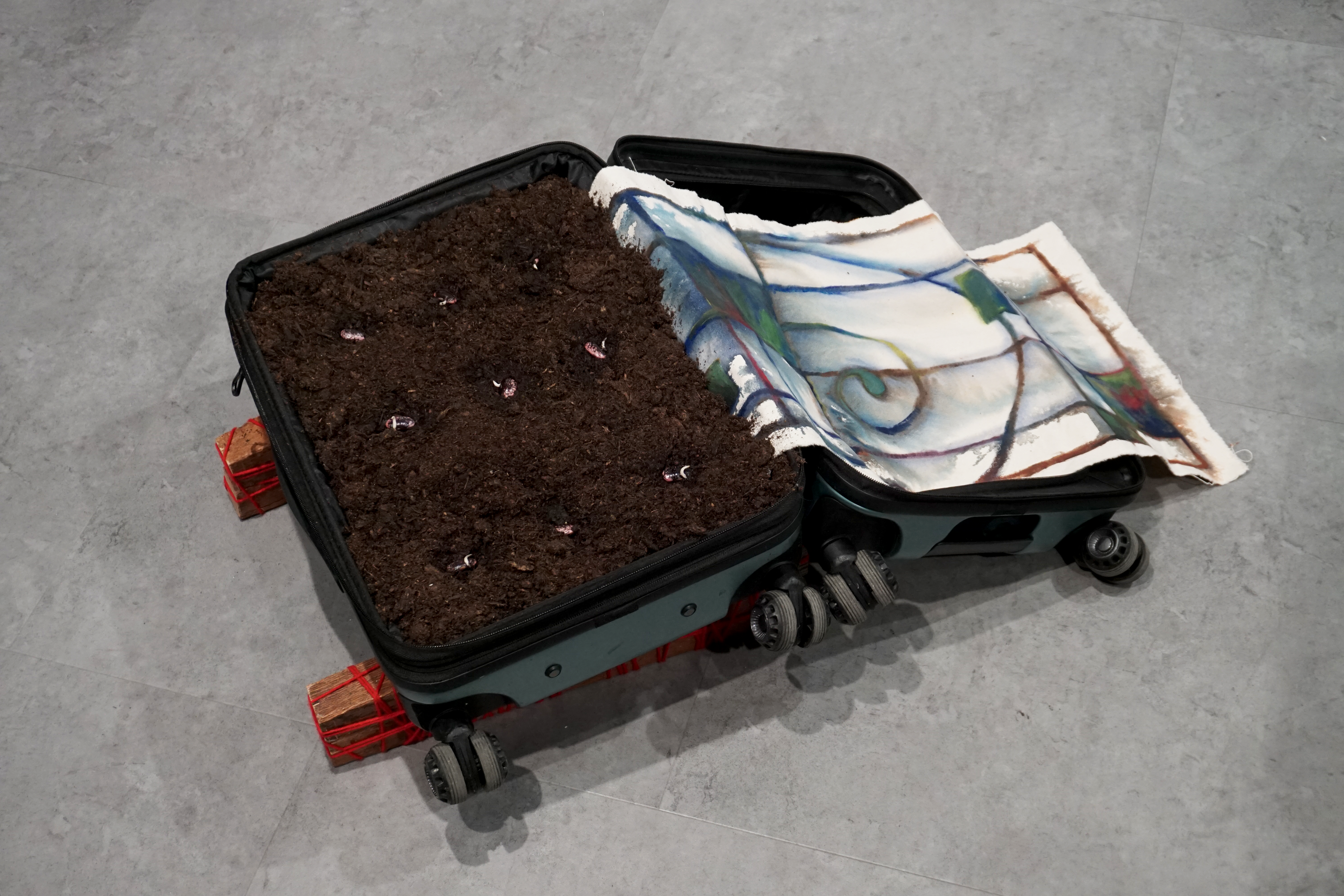 I was nesting so I planted a city