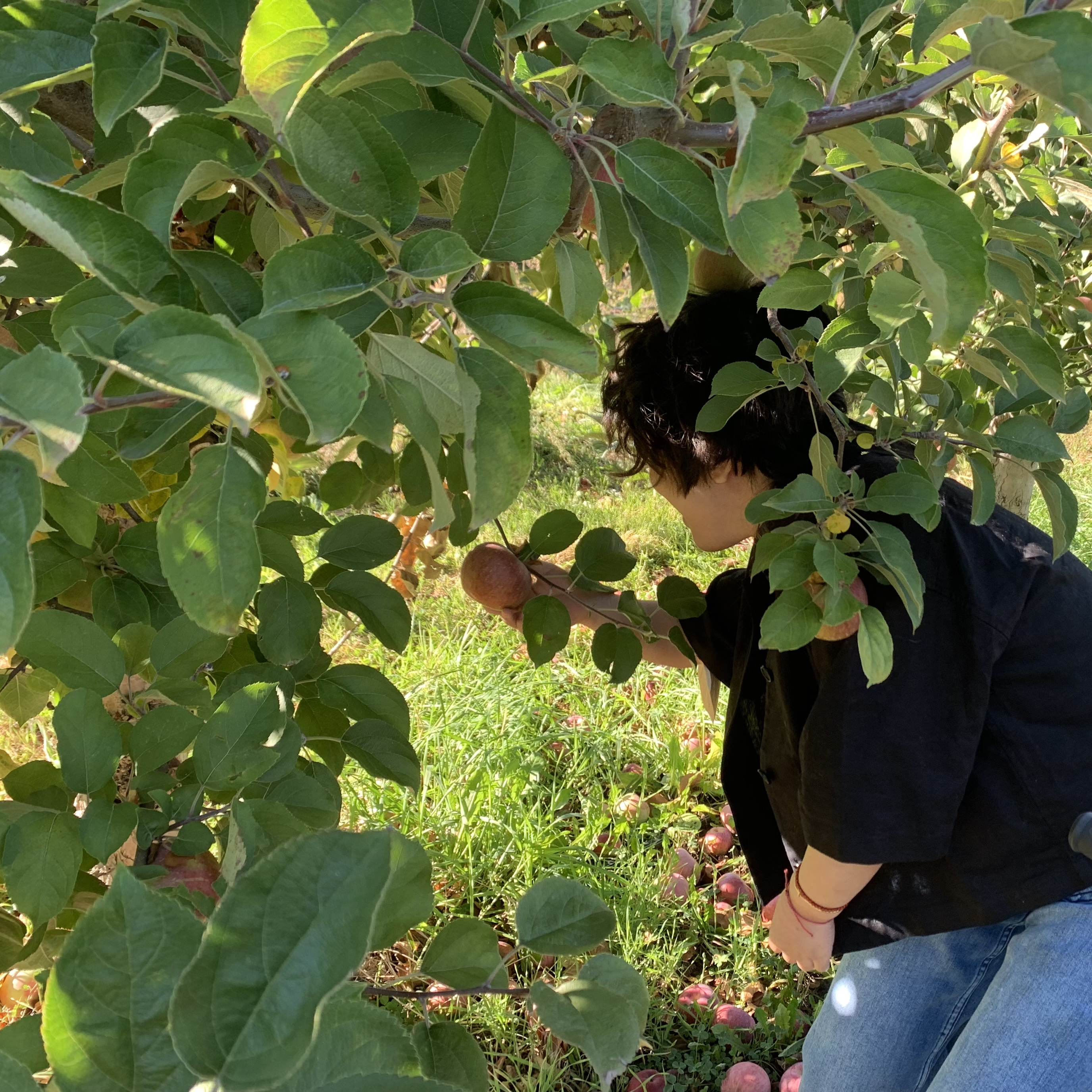 Shirley Zhong Profile